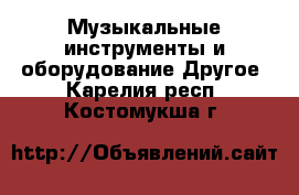 Музыкальные инструменты и оборудование Другое. Карелия респ.,Костомукша г.